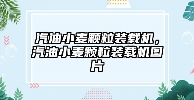 汽油小麥顆粒裝載機，汽油小麥顆粒裝載機圖片