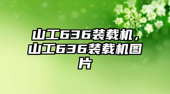 山工636裝載機(jī)，山工636裝載機(jī)圖片