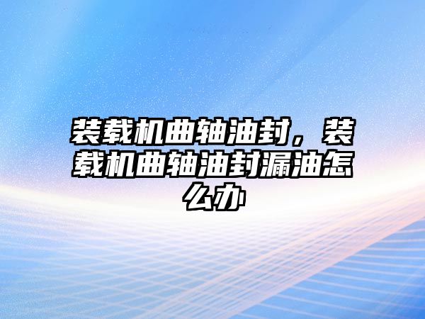 裝載機(jī)曲軸油封，裝載機(jī)曲軸油封漏油怎么辦