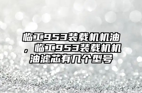 臨工953裝載機(jī)機(jī)油，臨工953裝載機(jī)機(jī)油濾芯有幾個(gè)型號(hào)