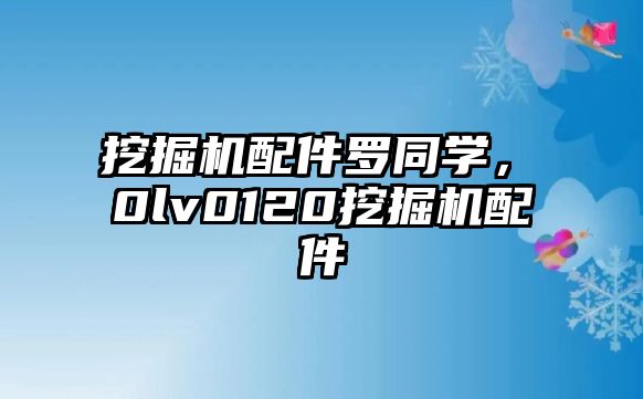 挖掘機配件羅同學(xué)，ⅴ0lv0120挖掘機配件