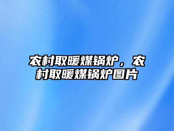 農(nóng)村取暖煤鍋爐，農(nóng)村取暖煤鍋爐圖片