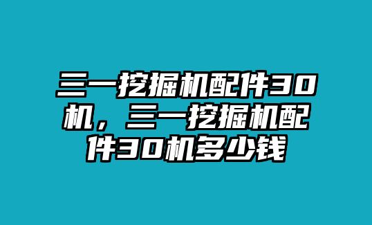 三一挖掘機(jī)配件30機(jī)，三一挖掘機(jī)配件30機(jī)多少錢(qián)