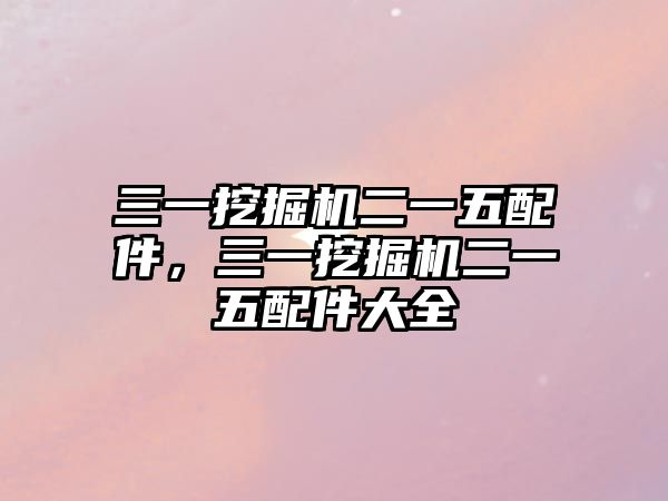 三一挖掘機(jī)二一五配件，三一挖掘機(jī)二一五配件大全