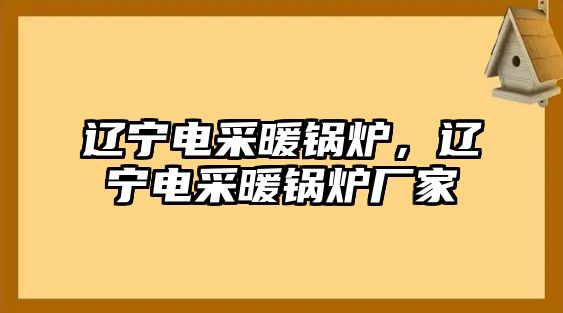 遼寧電采暖鍋爐，遼寧電采暖鍋爐廠家