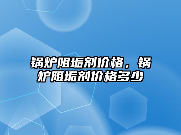 鍋爐阻垢劑價格，鍋爐阻垢劑價格多少