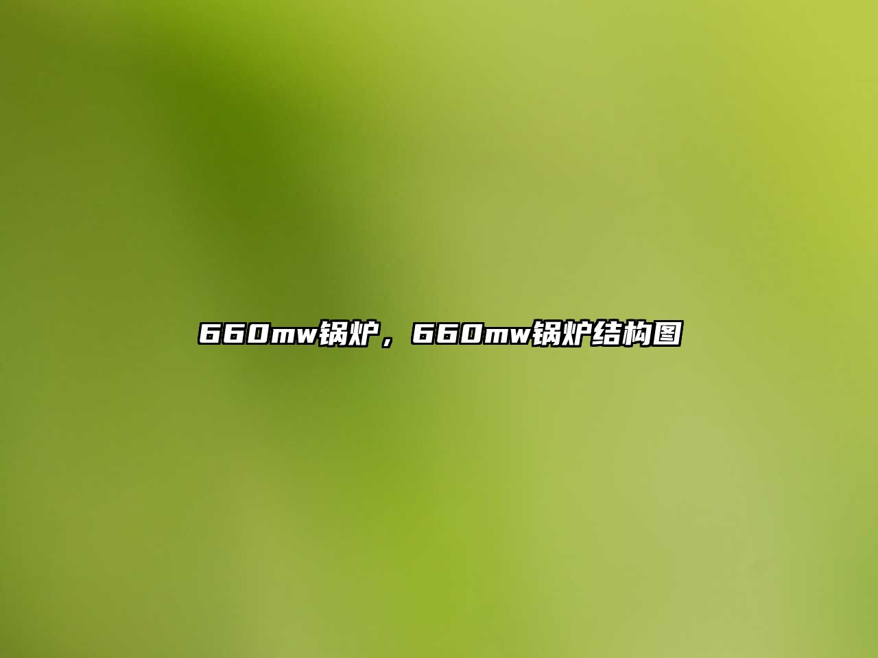 660mw鍋爐，660mw鍋爐結構圖