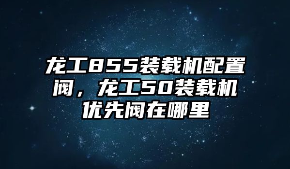 龍工855裝載機(jī)配置閥，龍工50裝載機(jī)優(yōu)先閥在哪里