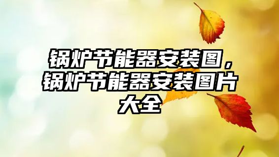 鍋爐節(jié)能器安裝圖，鍋爐節(jié)能器安裝圖片大全