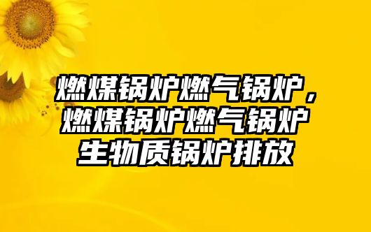 燃煤鍋爐燃氣鍋爐，燃煤鍋爐燃氣鍋爐生物質(zhì)鍋爐排放