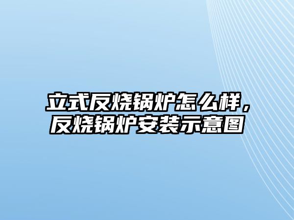 立式反燒鍋爐怎么樣，反燒鍋爐安裝示意圖