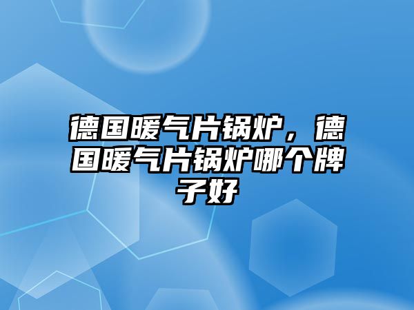 德國(guó)暖氣片鍋爐，德國(guó)暖氣片鍋爐哪個(gè)牌子好