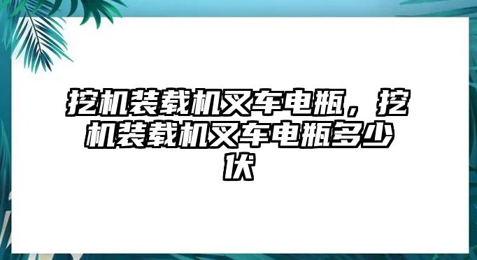 挖機(jī)裝載機(jī)叉車(chē)電瓶，挖機(jī)裝載機(jī)叉車(chē)電瓶多少伏