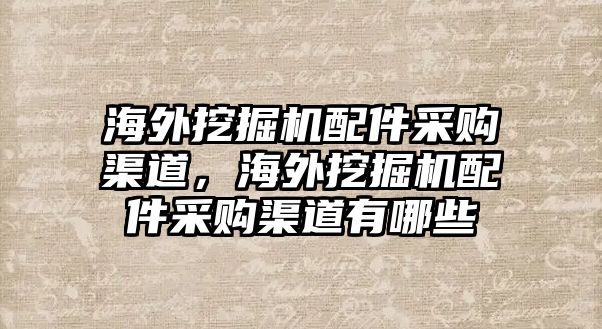 海外挖掘機(jī)配件采購渠道，海外挖掘機(jī)配件采購渠道有哪些