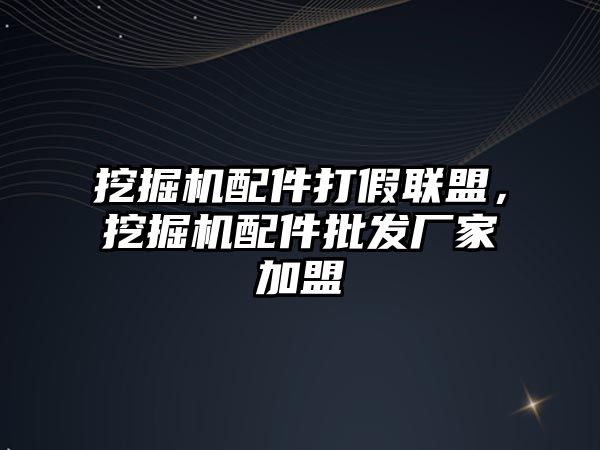 挖掘機配件打假聯(lián)盟，挖掘機配件批發(fā)廠家加盟