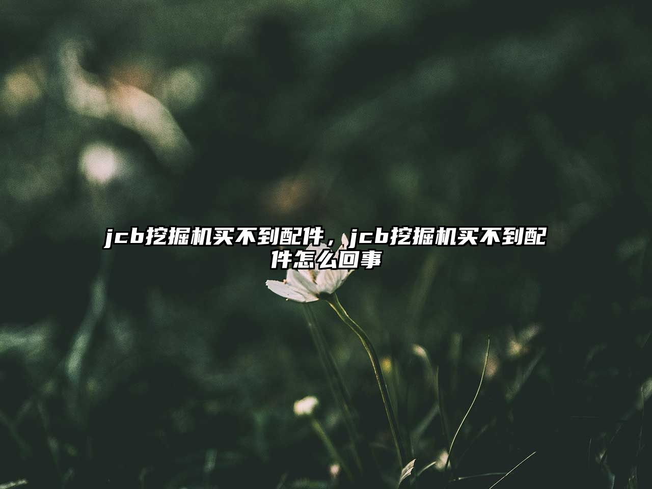 jcb挖掘機(jī)買(mǎi)不到配件，jcb挖掘機(jī)買(mǎi)不到配件怎么回事