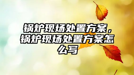 鍋爐現(xiàn)場處置方案，鍋爐現(xiàn)場處置方案怎么寫