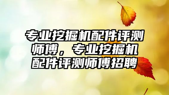 專業(yè)挖掘機配件評測師傅，專業(yè)挖掘機配件評測師傅招聘