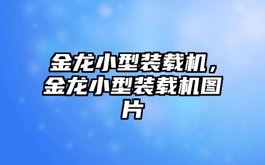 金龍小型裝載機(jī)，金龍小型裝載機(jī)圖片