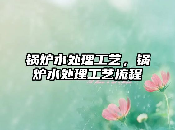 鍋爐水處理工藝，鍋爐水處理工藝流程