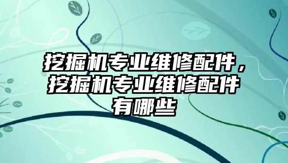 挖掘機(jī)專業(yè)維修配件，挖掘機(jī)專業(yè)維修配件有哪些