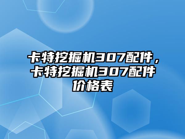 卡特挖掘機(jī)307配件，卡特挖掘機(jī)307配件價(jià)格表