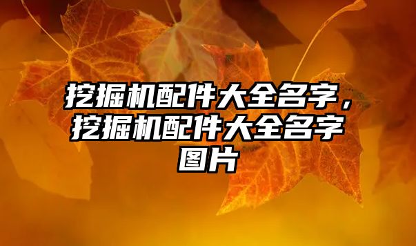 挖掘機配件大全名字，挖掘機配件大全名字圖片