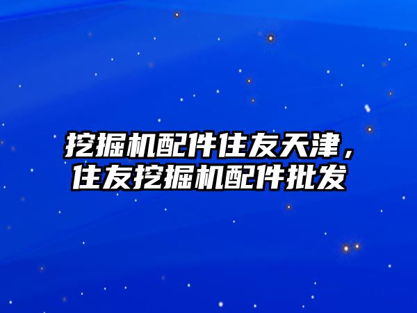 挖掘機配件住友天津，住友挖掘機配件批發(fā)