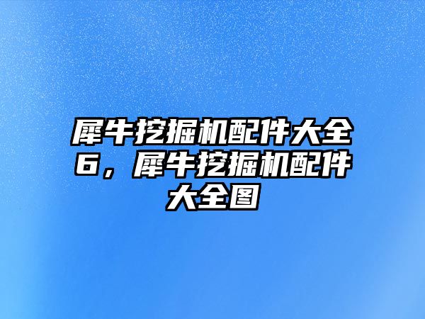 犀牛挖掘機(jī)配件大全6，犀牛挖掘機(jī)配件大全圖