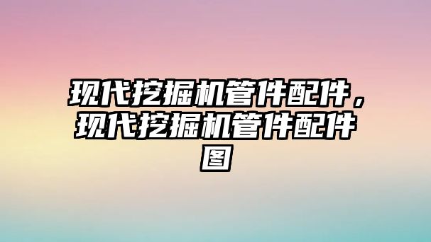 現(xiàn)代挖掘機管件配件，現(xiàn)代挖掘機管件配件圖