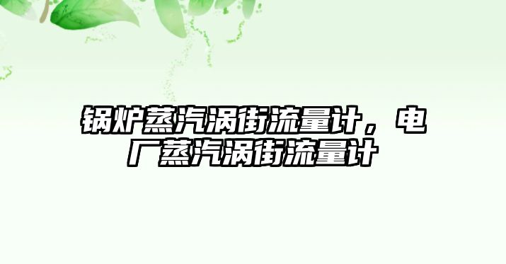 鍋爐蒸汽渦街流量計，電廠蒸汽渦街流量計