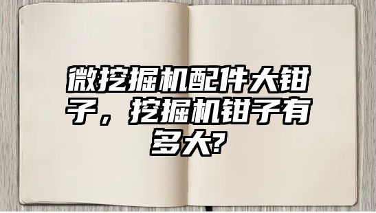 微挖掘機配件大鉗子，挖掘機鉗子有多大?