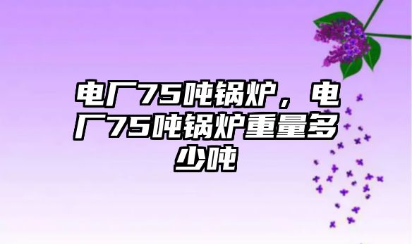 電廠75噸鍋爐，電廠75噸鍋爐重量多少噸