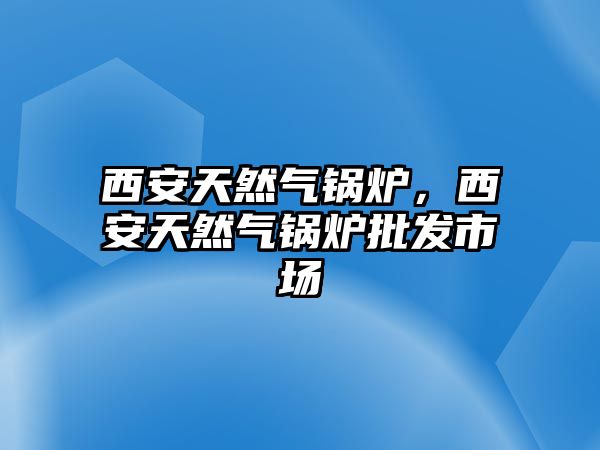 西安天然氣鍋爐，西安天然氣鍋爐批發(fā)市場(chǎng)