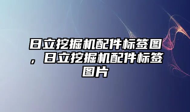 日立挖掘機配件標簽圖，日立挖掘機配件標簽圖片