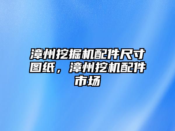 漳州挖掘機配件尺寸圖紙，漳州挖機配件市場