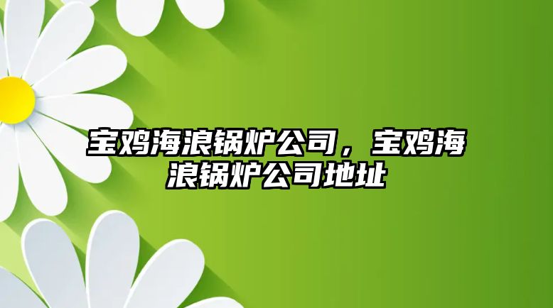 寶雞海浪鍋爐公司，寶雞海浪鍋爐公司地址