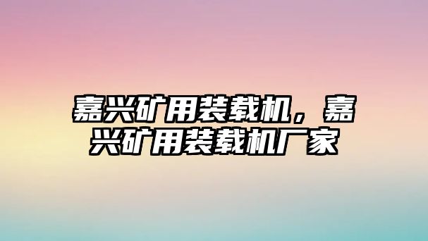 嘉興礦用裝載機(jī)，嘉興礦用裝載機(jī)廠家