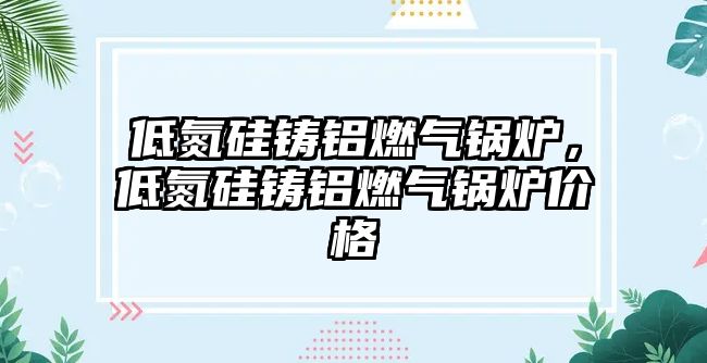 低氮硅鑄鋁燃氣鍋爐，低氮硅鑄鋁燃氣鍋爐價格