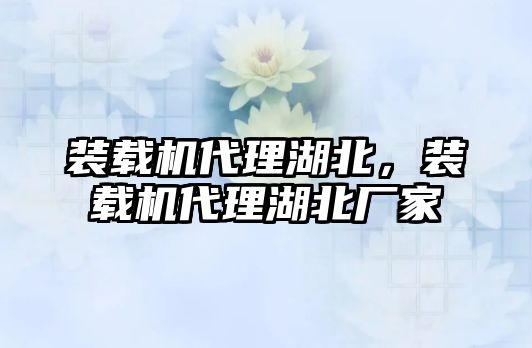 裝載機(jī)代理湖北，裝載機(jī)代理湖北廠家