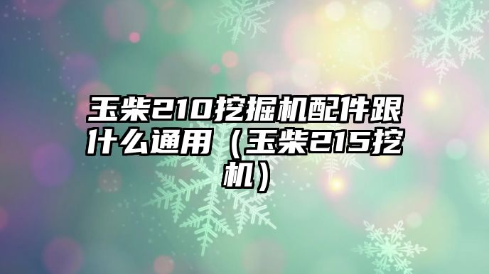 玉柴210挖掘機配件跟什么通用（玉柴215挖機）