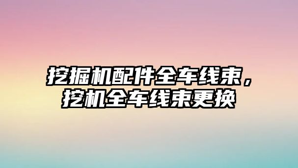 挖掘機配件全車線束，挖機全車線束更換