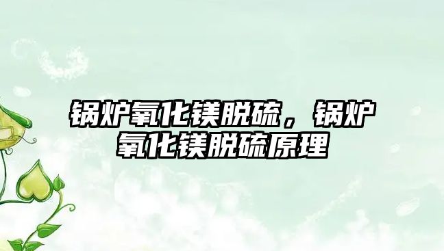 鍋爐氧化鎂脫硫，鍋爐氧化鎂脫硫原理