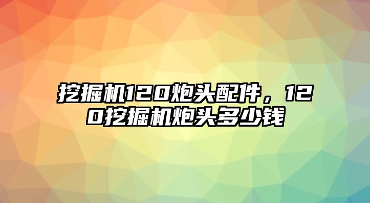 挖掘機(jī)120炮頭配件，120挖掘機(jī)炮頭多少錢