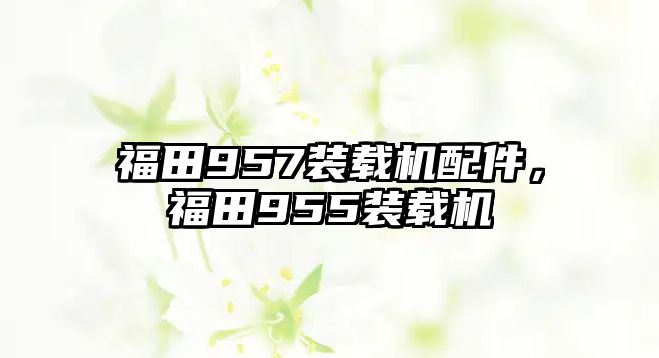 福田957裝載機(jī)配件，福田955裝載機(jī)