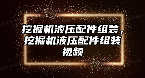 挖掘機(jī)液壓配件組裝，挖掘機(jī)液壓配件組裝視頻