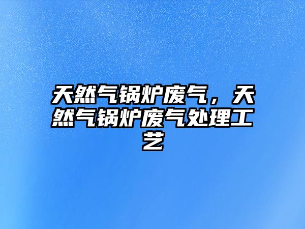 天然氣鍋爐廢氣，天然氣鍋爐廢氣處理工藝