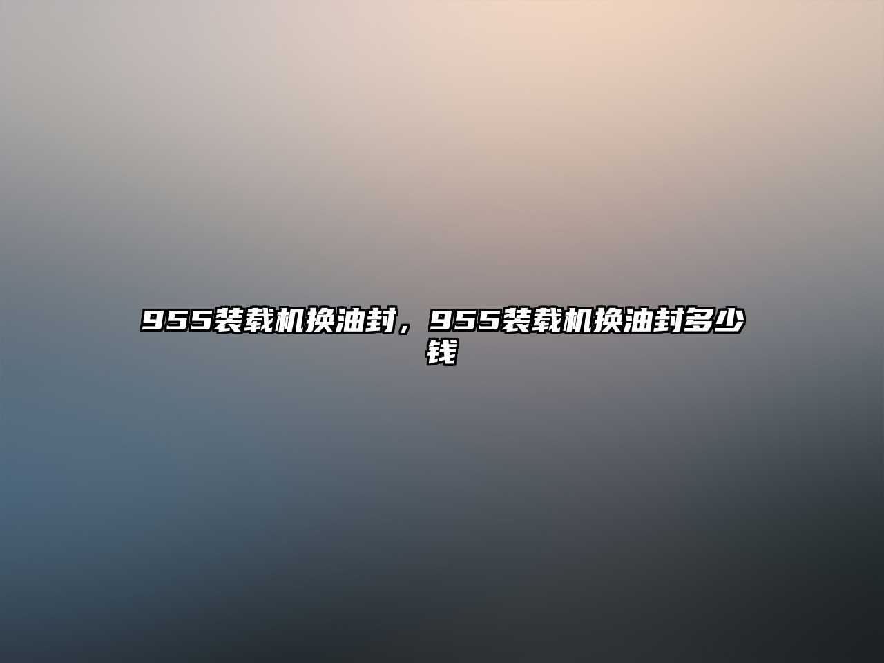 955裝載機(jī)換油封，955裝載機(jī)換油封多少錢(qián)