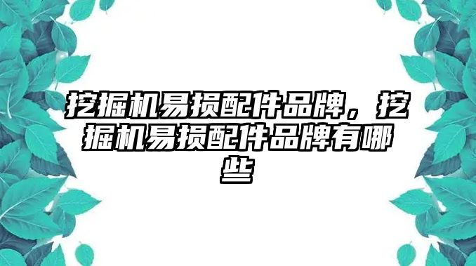 挖掘機(jī)易損配件品牌，挖掘機(jī)易損配件品牌有哪些