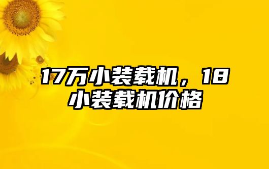 17萬小裝載機，18小裝載機價格